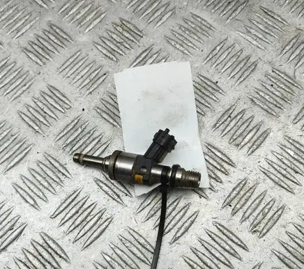 Porsche Cayenne (9PA) Fuel injector 94860523101 103507503
