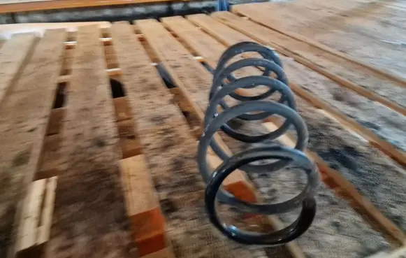 Renault Laguna III Rear coil spring