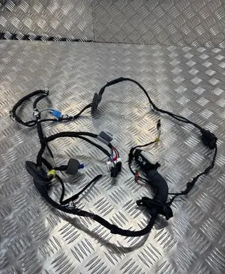 Audi Q5 SQ5 Front door wiring loom 80A971029N