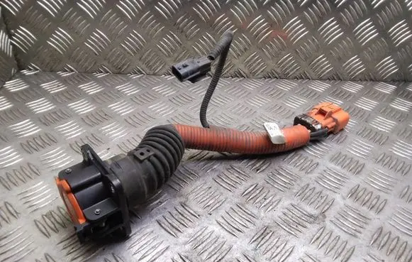 Nissan Leaf I (ZE0) Electric car charge socket 296B13NA0D