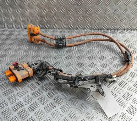 Skoda Enyaq iV Other wiring loom 1EA971015S 1EA971806
