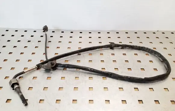 Exhaust gas temperature sensor