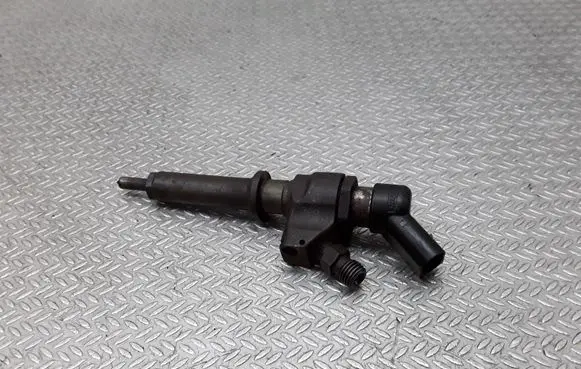 Citroen Berlingo Fuel injector 9652173780