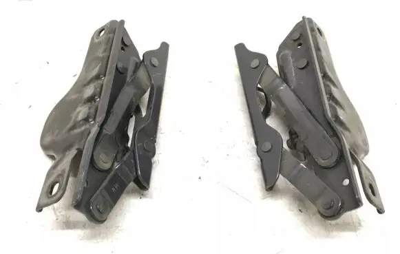 Tesla Model S Engine bonnet/hood hinges