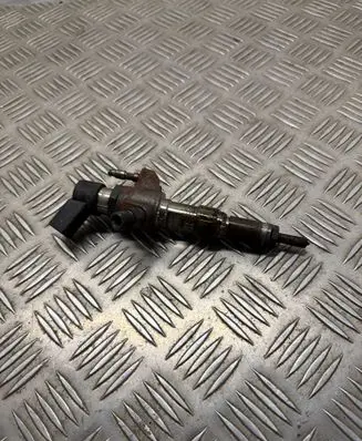 Peugeot 5008 Fuel injector 9674973080 83312