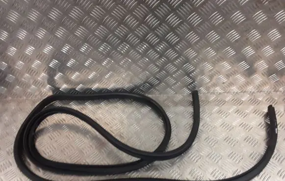 Mitsubishi Space Star Front door rubber seal 