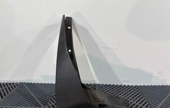 Lexus NX Rear mudguard PK38978J00