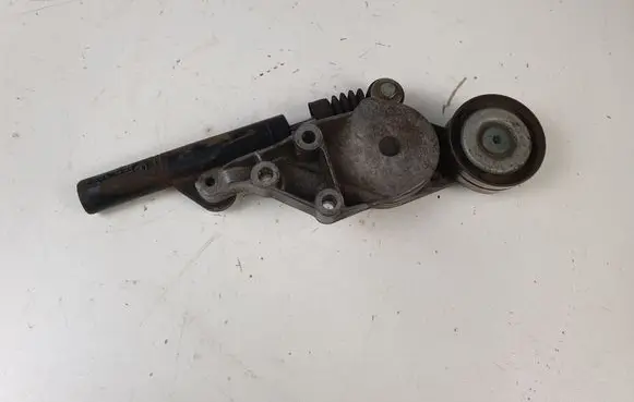 Volkswagen New Beetle Generator/alternator belt tensioner 038145284
