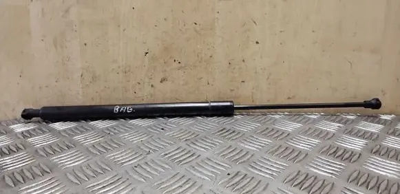 Tailgate strut