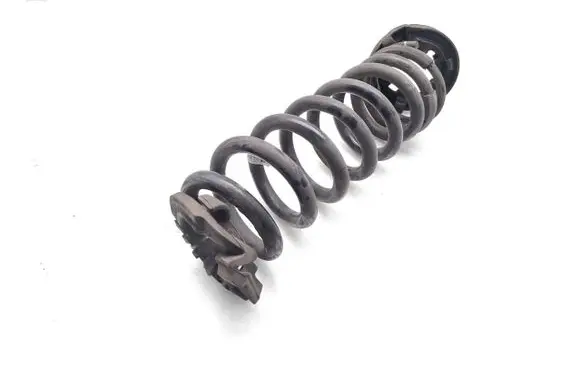 Rear coil spring
