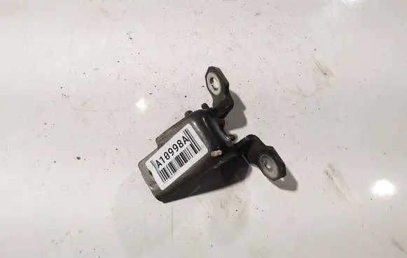 Renault Scenic III - Grand scenic III Front door upper hinge 