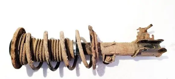Opel Signum Front shock absorber/damper 