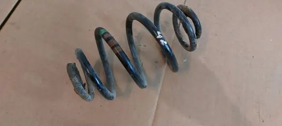 Volkswagen PASSAT B5 Rear coil spring