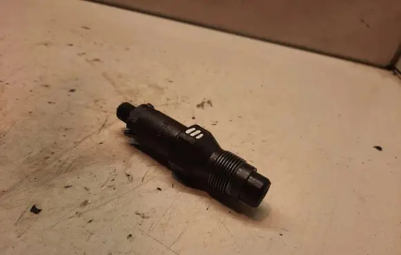 Peugeot Partner Fuel injector LCR6736001