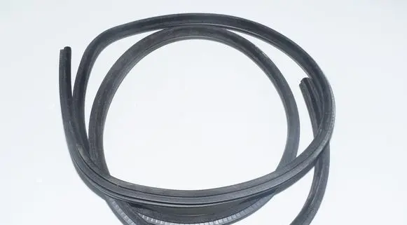 BMW 5 E39 Rubber seal rear door 7116406