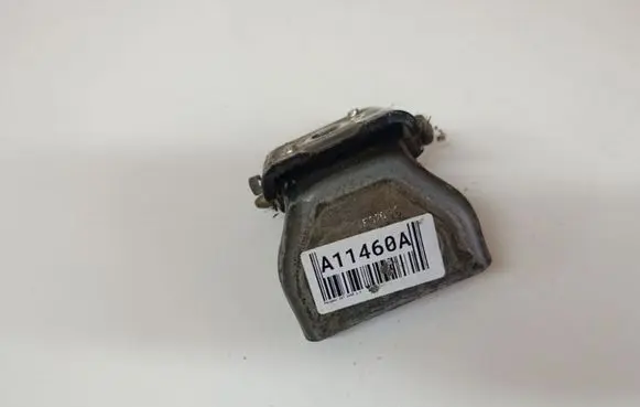 Peugeot 307 Rear door lower hinge