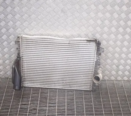 Jaguar XF X250 Coolant radiator HBPO