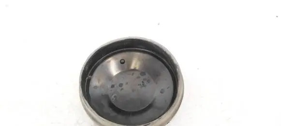 Volkswagen PASSAT B6 Headlight/headlamp dust cover 153873