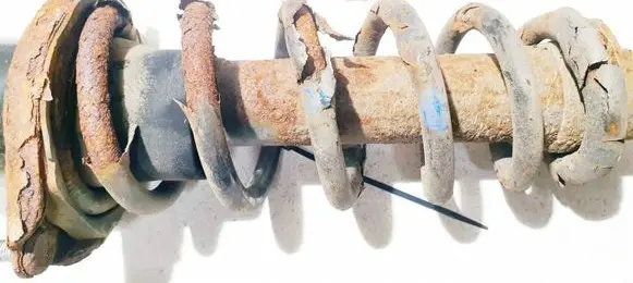 Rear coil spring