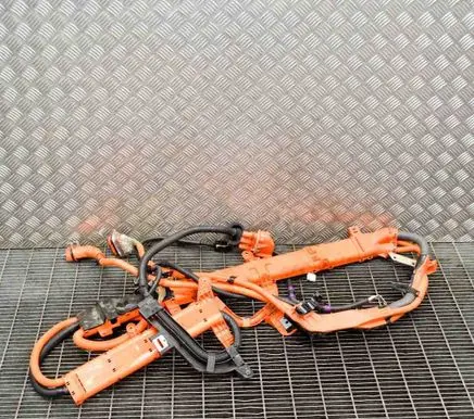 Lexus RX 450H Other wiring loom 8281748F41 8281748F11
