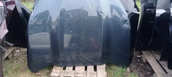 Engine bonnet/hood