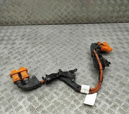 Volkswagen ID.4 Other wiring loom 1EA971015AA