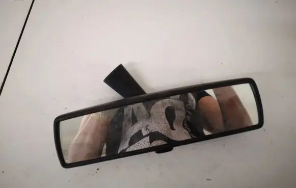 Volkswagen Golf V Rear view mirror (interior) e1010783