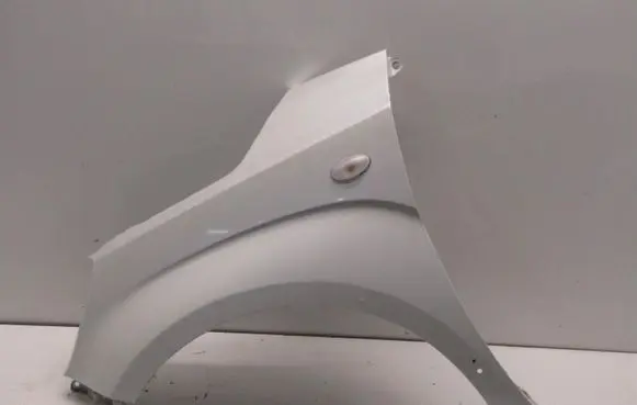 Suzuki Ignis Fender 