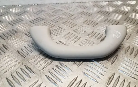 Skoda Octavia Mk3 (5E) Front interior roof grab handle 561857607B