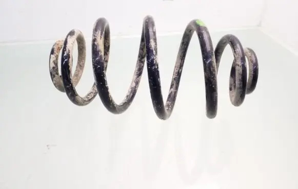 Volkswagen PASSAT B5 Rear coil spring