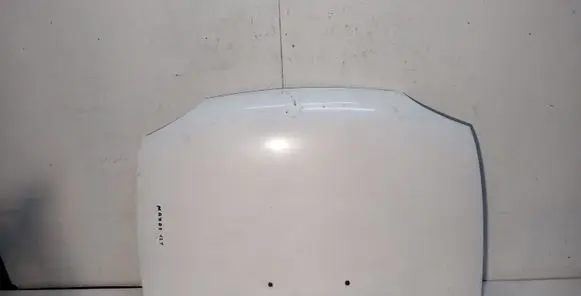 Engine bonnet/hood