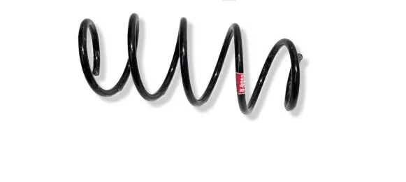 Skoda Fabia Mk3 (NJ) Front coil spring