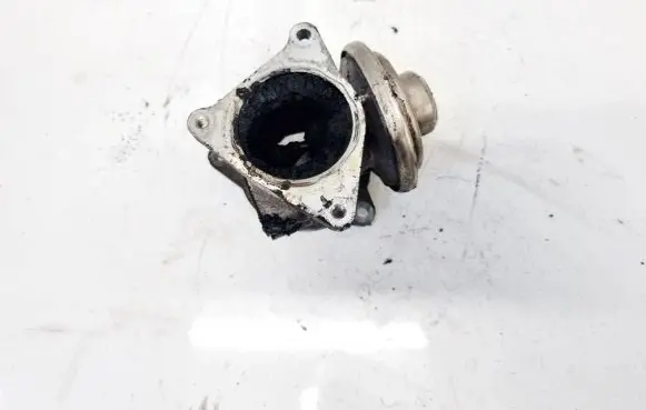Skoda Fabia Mk1 (6Y) EGR valve 038129637D