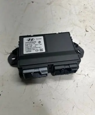 Hyundai Santa Fe Other control units/modules 81870S1100