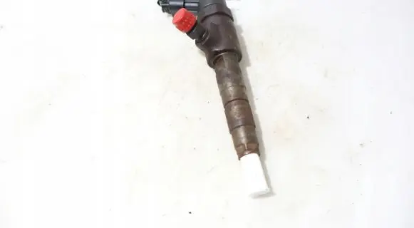 Ford Fiesta Fuel injector