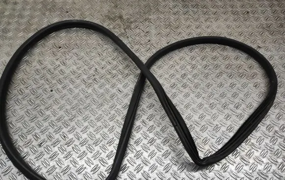 Mini Cooper Countryman R60 Front door rubber seal 