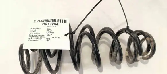 Rear coil spring