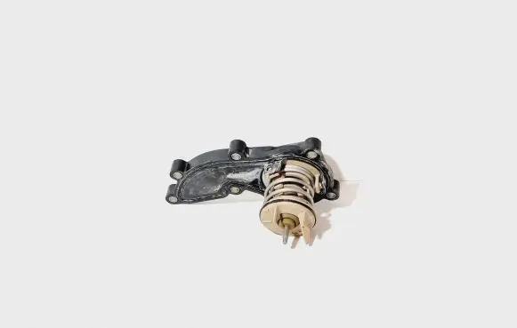 Thermostat/thermostat housing