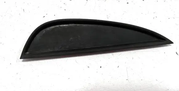 Other front door trim element