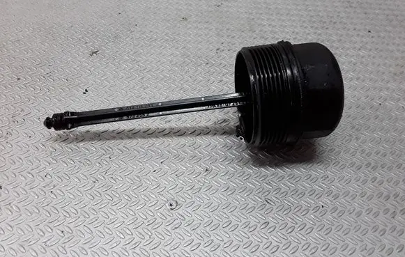 Volkswagen Bora Oil filter cover 038115433
