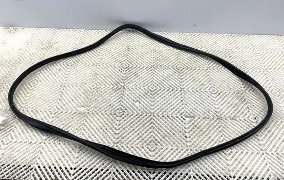 KIA EV6 Rubber seal front door (on door) 