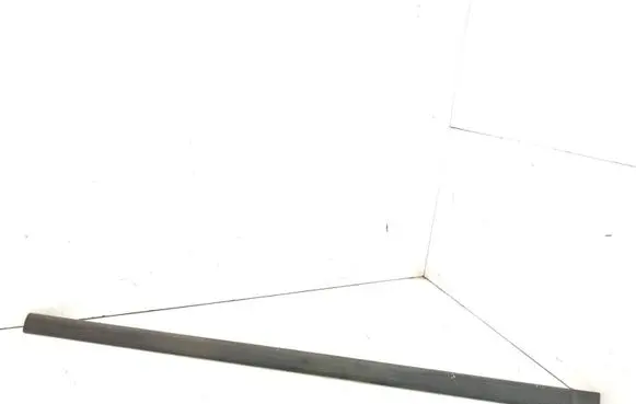 Front door trim (molding)