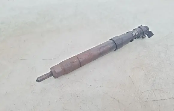 Ford Kuga I Fuel injector 9686191080