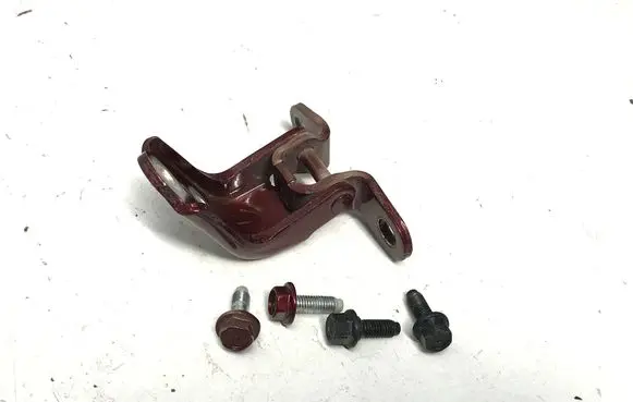 KIA EV9 Rear door lower hinge