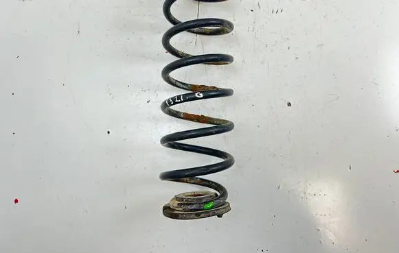 Rear coil spring