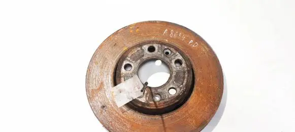 Renault Scenic III - Grand scenic III Front brake disc ventiliuojamas