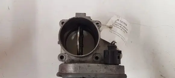 Opel Antara Throttle valve