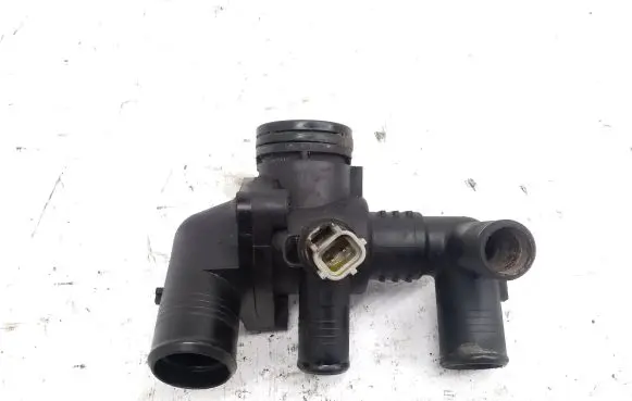 Thermostat/thermostat housing
