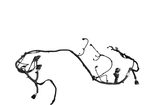 Other wiring loom