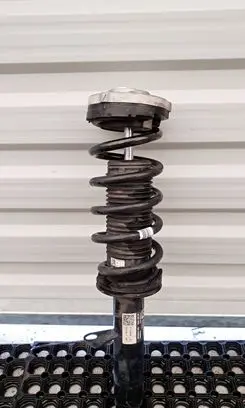 BMW 5 G30 G31 G38 Front shock absorber with coil spring 6880084